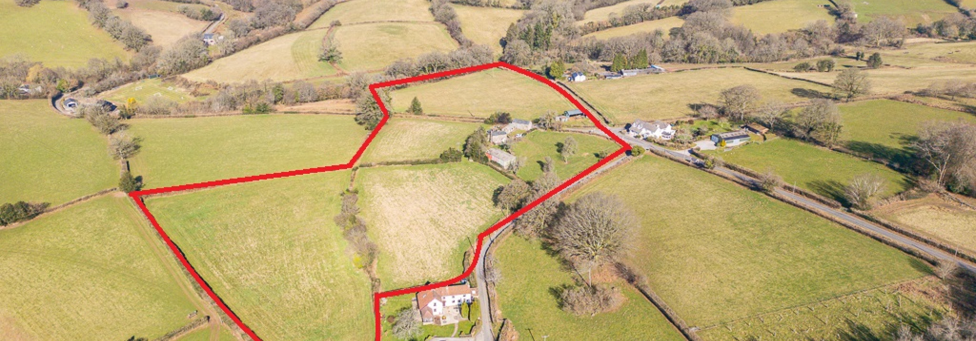 2 Red Line Image Lot 1