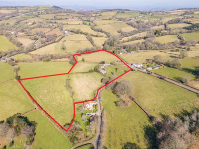 2 Red Line Image Lot 1