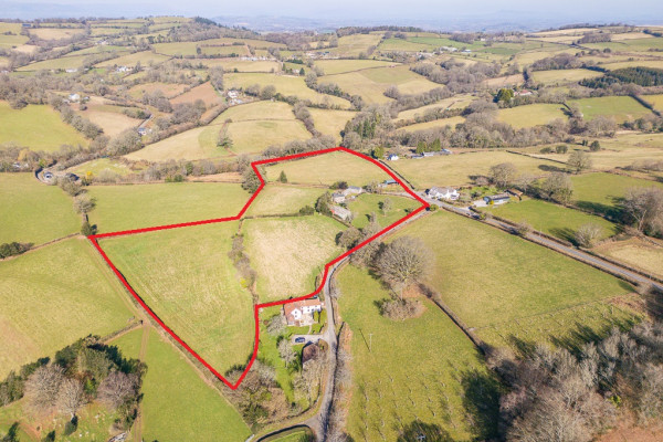 2 Red Line Image Lot 1