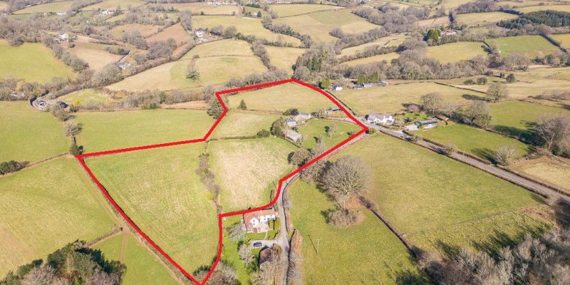 2 Red Line Image Lot 1