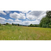 Stanton Wheatfield Paddocks 0081