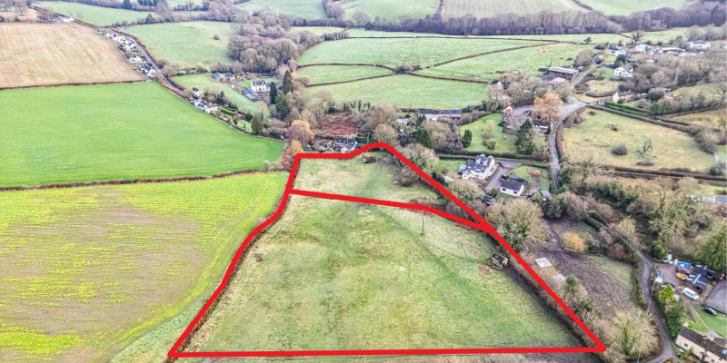 Whole Lotted not labled