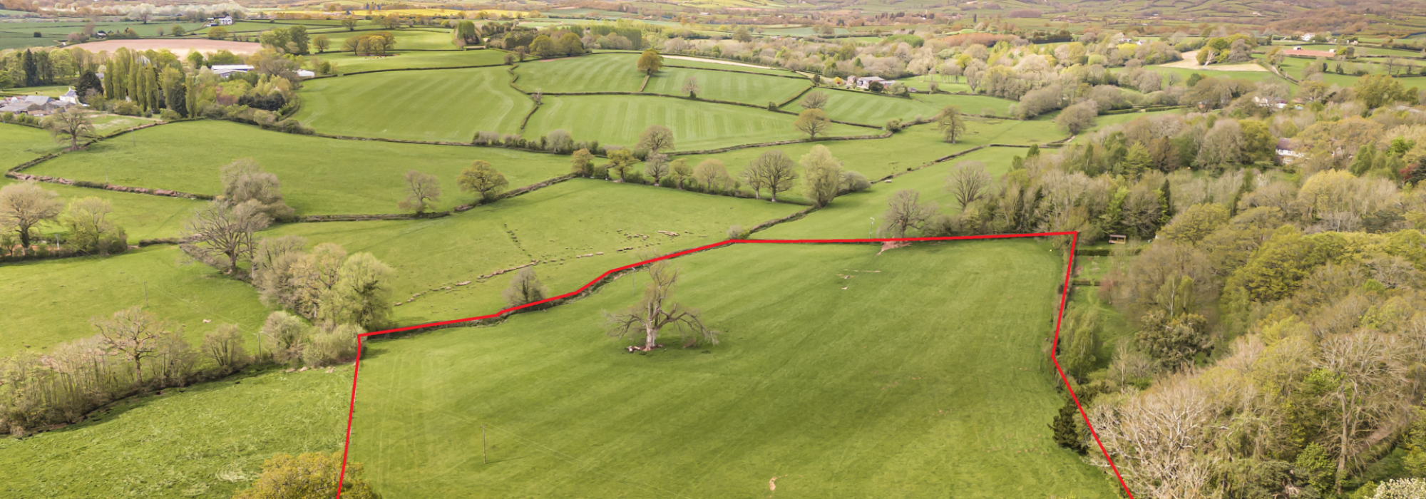 DJI 20260420142948 0042 D Red ring