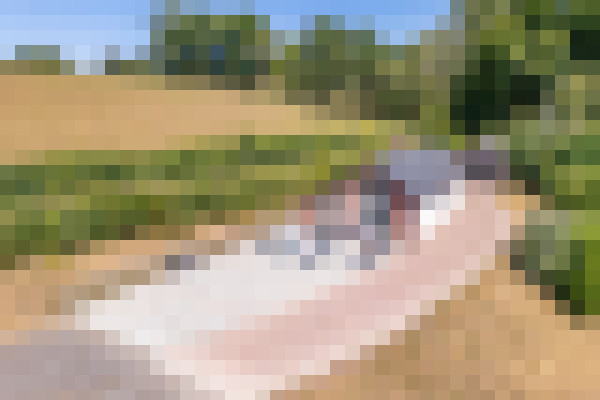 DJI 0913