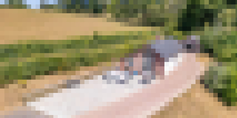 DJI 0913