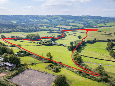 DJI 0546 Edit RED 1729588705379