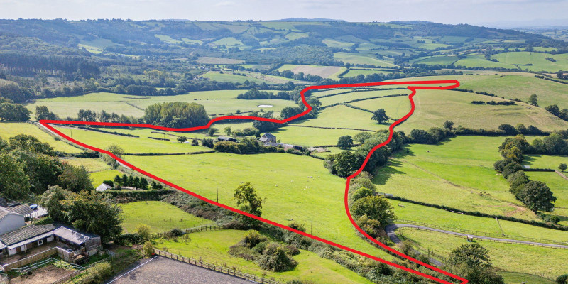 DJI 0546 Edit RED 1729588705379