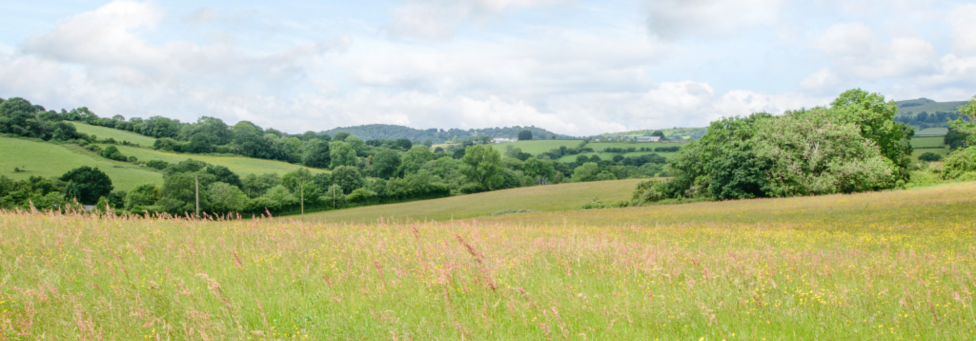 8296055 exterior19 800