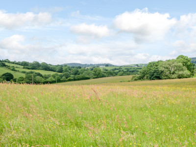 8296055 exterior19 800