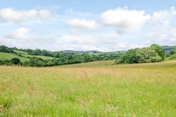 8296055 exterior19 800