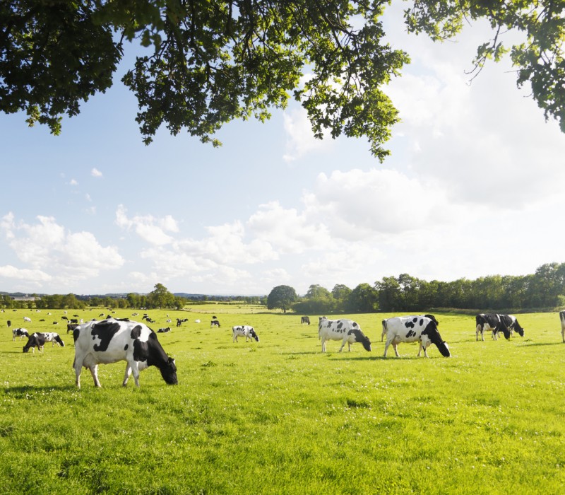 iStock 000017509086Medium