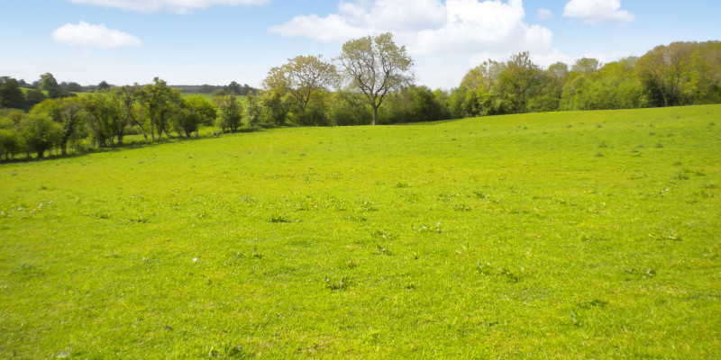 land at Talycoed Lane