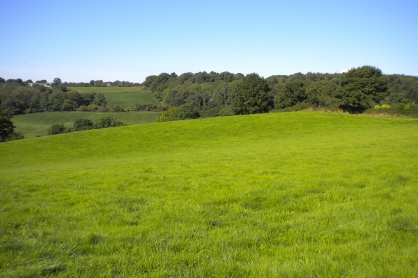 land at Llandenny Walks