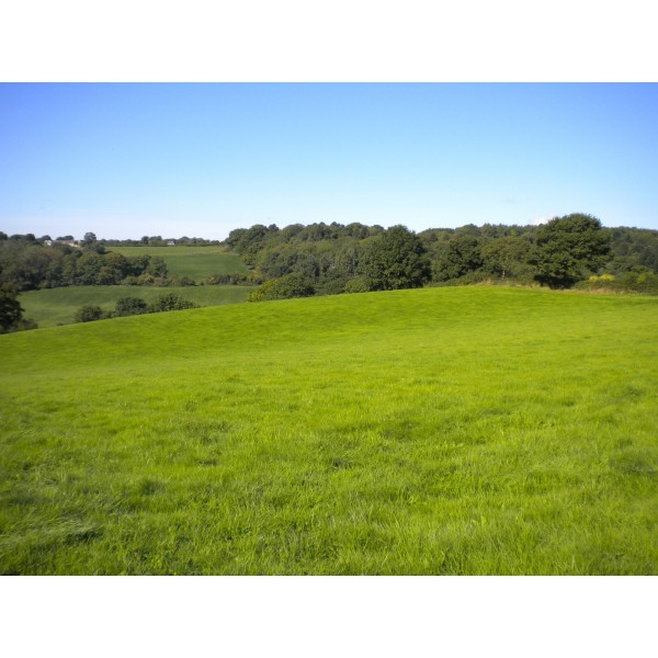 land at Llandenny Walks