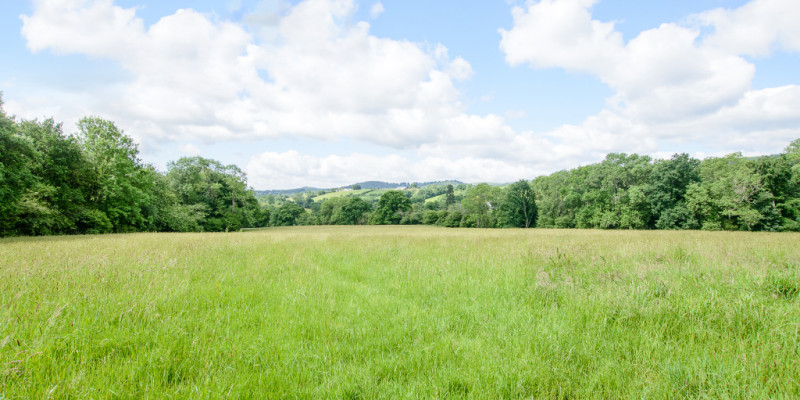 8296055 exterior15 800