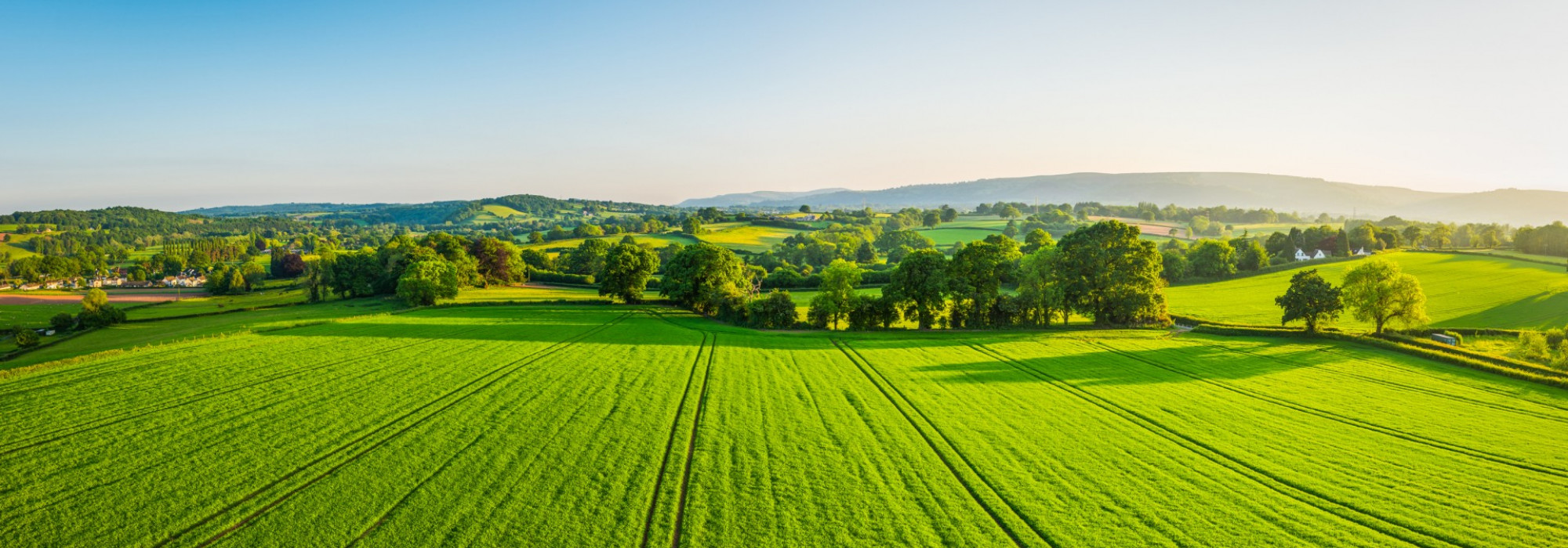 iStock 692869260 fields