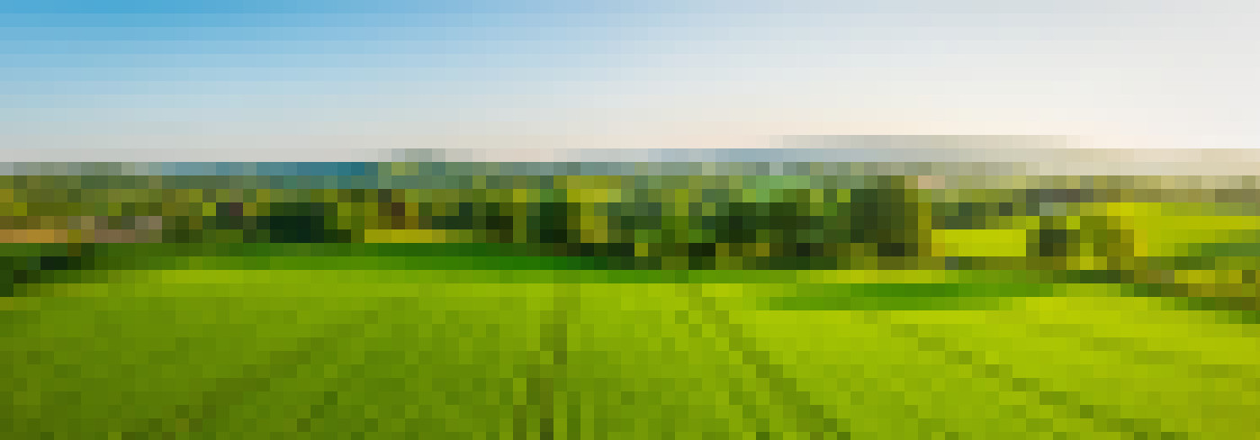 iStock 692869260 fields