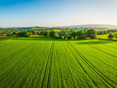 iStock 692869260 fields
