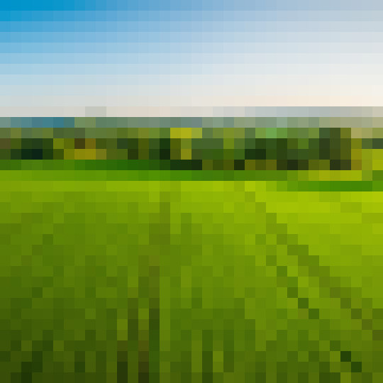 iStock 692869260 fields