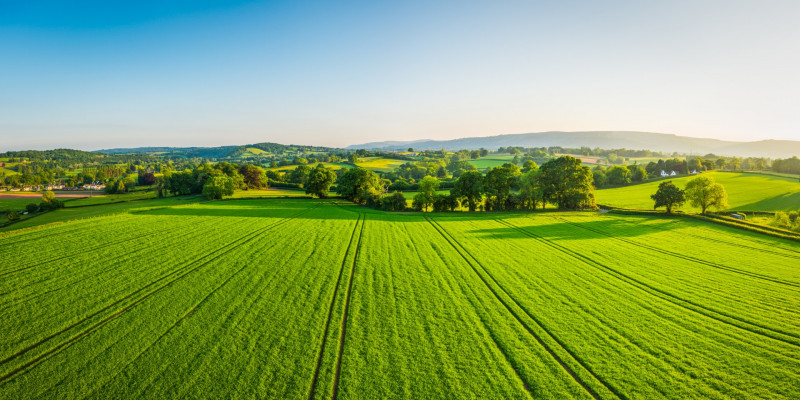 iStock 692869260 fields