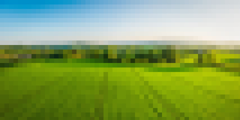 iStock 692869260 fields