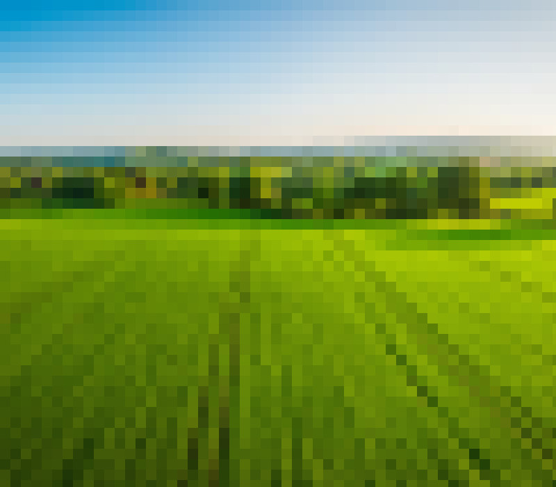 iStock 692869260 fields