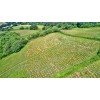 Stanton Woodland Trust 0700