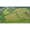 Stanton Woodland Trust 0634