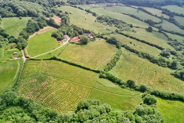 Stanton Woodland Trust 0695