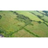 Stanton Woodland Trust 0648