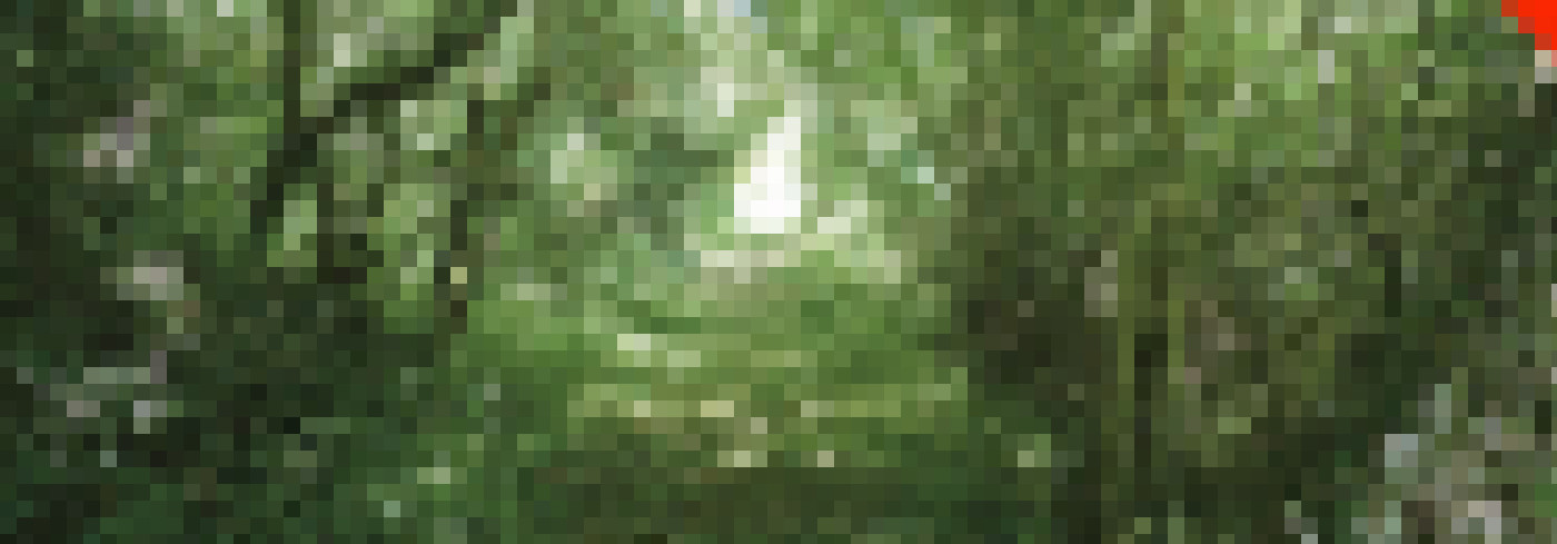 P1010381