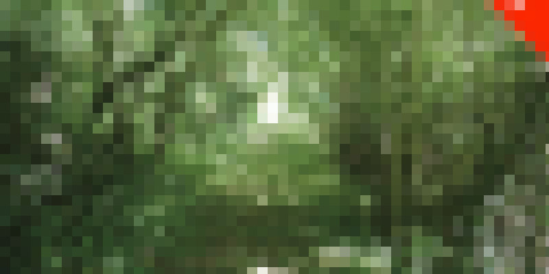 P1010381